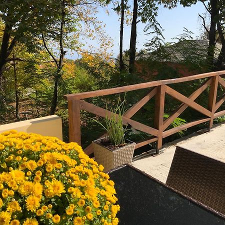 Pelion 7 Lives Villa Tsagarada Exterior photo