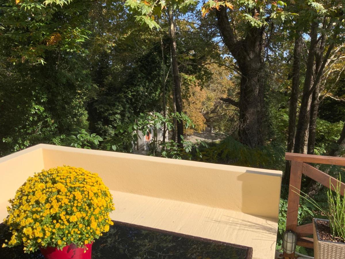 Pelion 7 Lives Villa Tsagarada Exterior photo